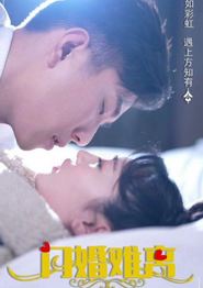 闪婚难离