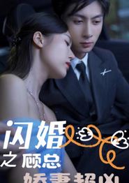 闪婚之顾总娇妻超凶