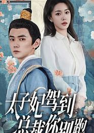 太子妃驾到，总裁你别跑