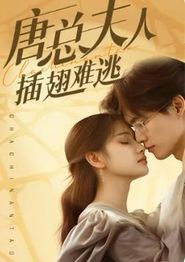 唐总夫人插翅难逃