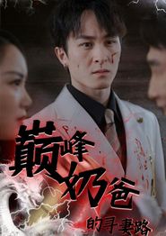 巅峰奶爸的寻妻路