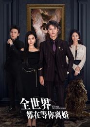 全世界都在等你离婚