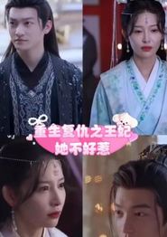 重生复仇之王妃她不好惹