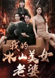 我的冰山美女老婆