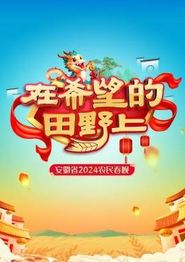 安徽省2024农民春晚