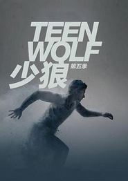 少狼第五季
