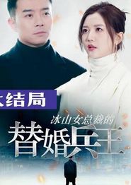 冰山总裁的替婚兵王