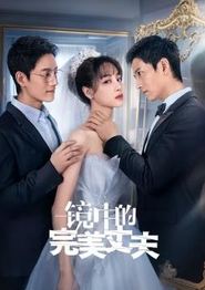 镜中的完美丈夫