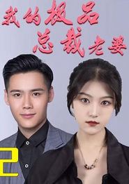 我的极品总裁老婆