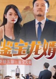 鉴宝龙婿