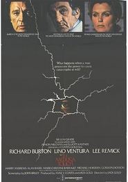 魔力1978