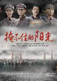 掩不住的阳光