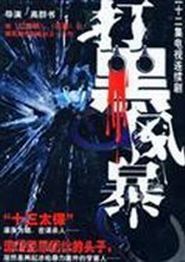 打黑风暴
