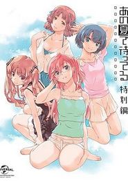 在盛夏等待特别篇