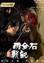 雨金石战记
