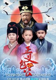 正义小包公