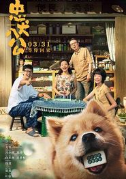 忠犬八公中国版
