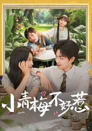小青梅不好惹