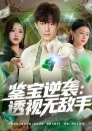 鉴宝逆袭透视无敌手