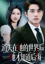 消失在她的世界后她才知道后悔