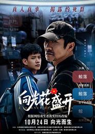 向光花盛开