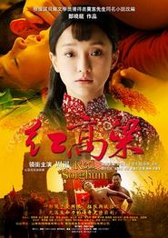 红高粱2014