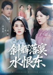 斜辉落寞水恨东
