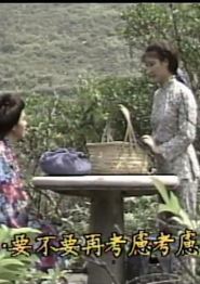 向太阳挑战