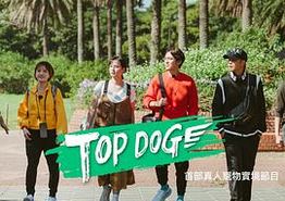 TOP DOG