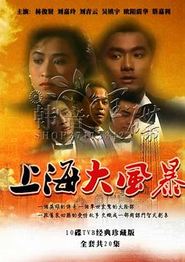 上海大风暴国语