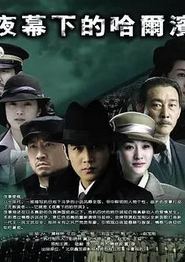 夜幕下的哈尔滨