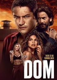 多姆第二季