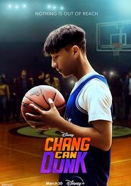 篮球少年张