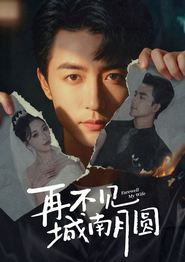 再不见城南月圆