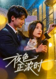 夜色正浓时