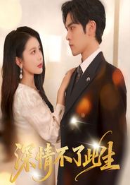 深情不了此生