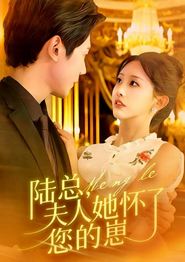 陆总，夫人她怀了您的崽