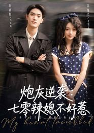 炮灰逆袭七零辣媳不好惹