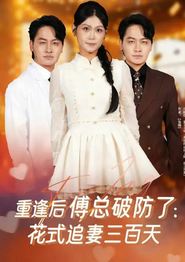 重逢后傅总破防了：花式追妻三百天