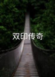 双印传奇