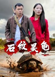 石纹灵龟