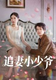 追妻小少爷