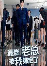 糟糕老总被我绑定了