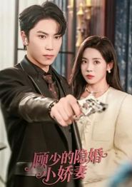 顾少的隐婚小娇妻