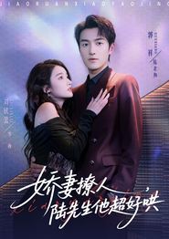 娇妻撩人，陆先生他超好哄