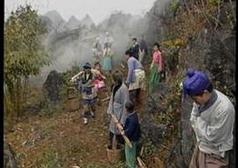 鱼公主红鲤公主