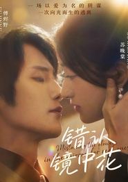 错认镜中花