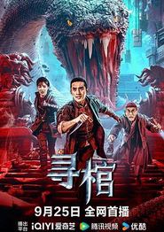 寻棺