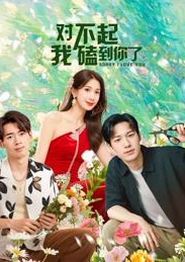 对不起，我磕到你了