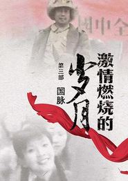 激情燃烧的岁月3
